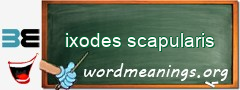 WordMeaning blackboard for ixodes scapularis